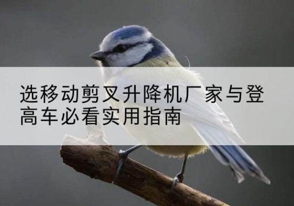 太和电动升降机厂家-选移动剪叉升降机厂家与登高车必看实用指南