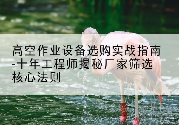 太和剪叉式升降机厂家-高空作业设备选购实战指南-十年工程师揭秘厂家筛选核心法则